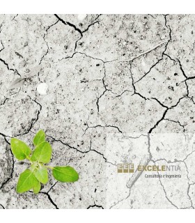 Informe de suelos preliminar o inicial de la empresa - 1 centro